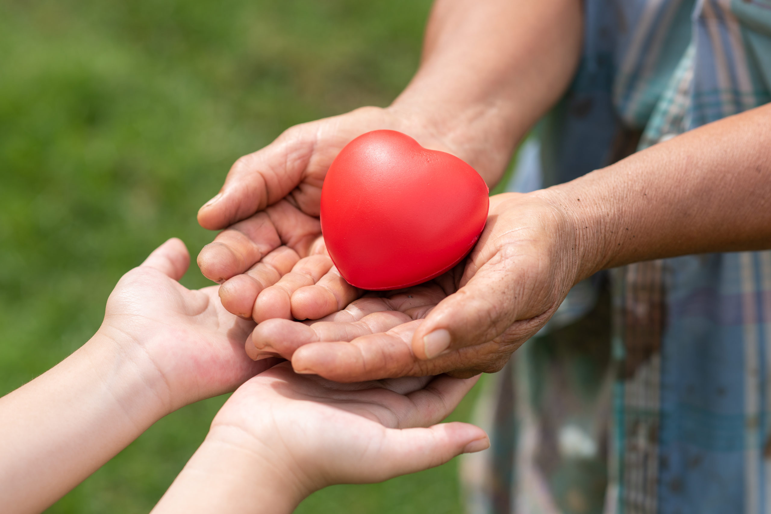 Two pairs of hands, one of a young child, one of an older person. Small red heart cushion sitting in the hands of the older person.