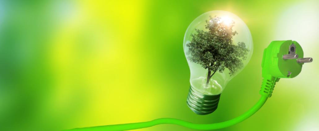 green blurred background with a lit up light bulb with a green tree inside